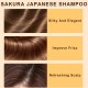 Supwell Japanese Shampoo, Hair Density Essential Shampoo, Repair Dry Damaged Hair, Japan's Evening Nianxiang Shampoo for Deeply Nourished Strong Hair