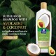 Parachute Daily Moisture with Coconut and Avocado - 340 ml