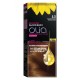 Garnier Olia Hair Color Golden Brown 5.3