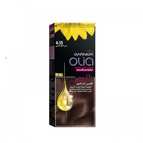 Garnier Olia Ammonia-Free Hair Color - Icy Light Brown 6.15 Garnier Olia Ammonia-Free Hair Color - Icy Light Brown 6.15