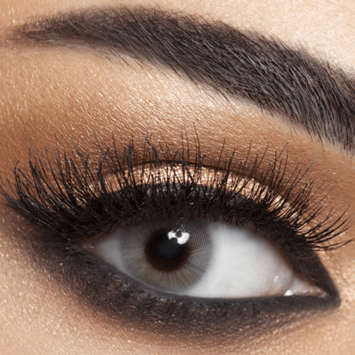 Anesthesia Coloured Lenses - Addict Gray