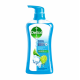 Dettol Cool Mint & Menthol Body Wash - 500ml