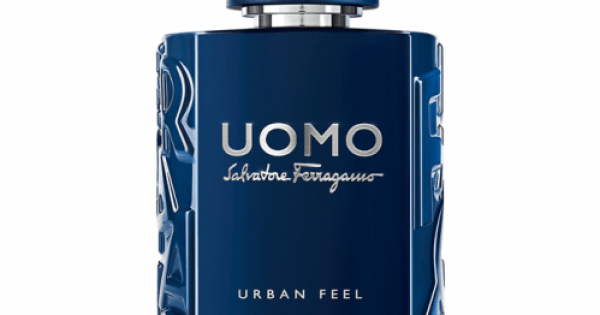 Ferragamo uomo intense top