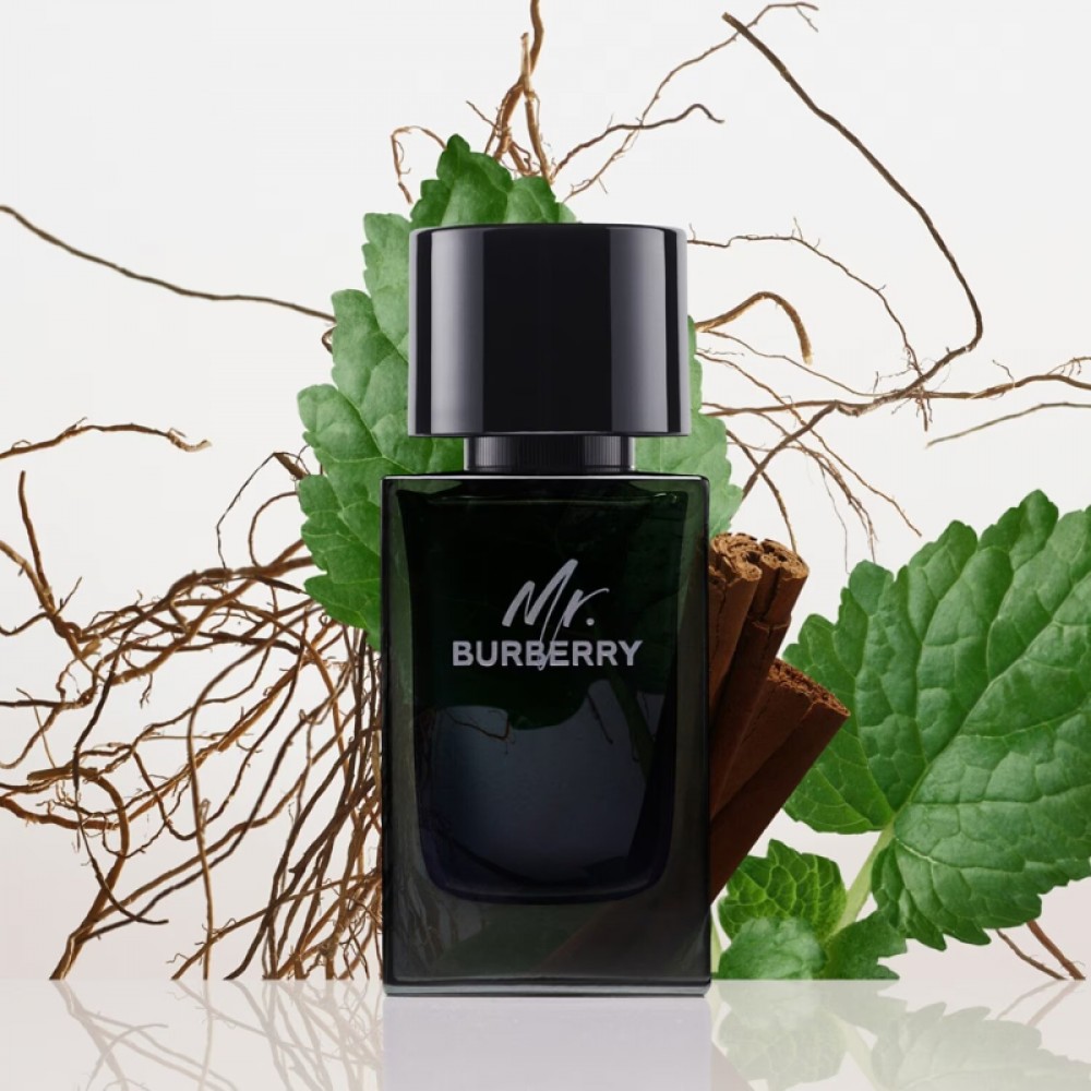 Burberry Mr Burberry For Men - Eau de Parfum 100ml