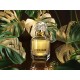 عطر باراديسو من روبرتو كفالي للنساء - اي دي بارفيوم 75مل