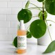 Mario Badescu Facial Spray With Aloe,Sage And Orange Blossom - 118ml