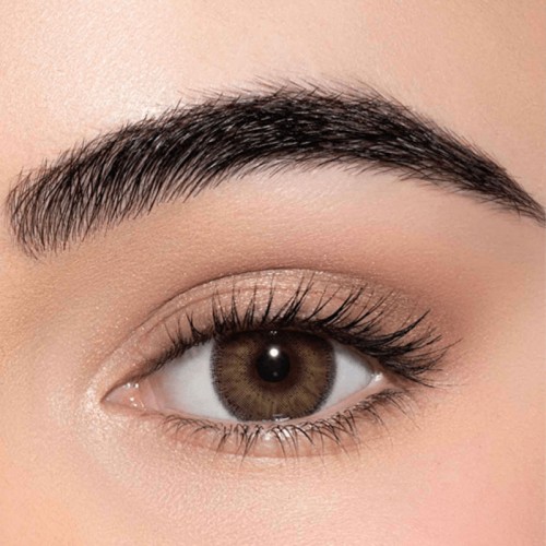 Lens Me Coloured Contact Lenses - Honey