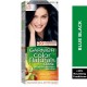 Garnier Color Naturals 2.10 blue black Haircolor