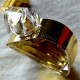 Elizabeth Arden Untold Absolu For Women - Eau De Parfum