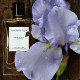 Van Cleef and Arpels Extraordinaire Bois d Iris For Women - Eau De Parfum