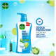 Dettol Cool Mint & Menthol Body Wash - 500ml