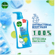 Dettol Cool Mint & Menthol Body Wash - 500ml