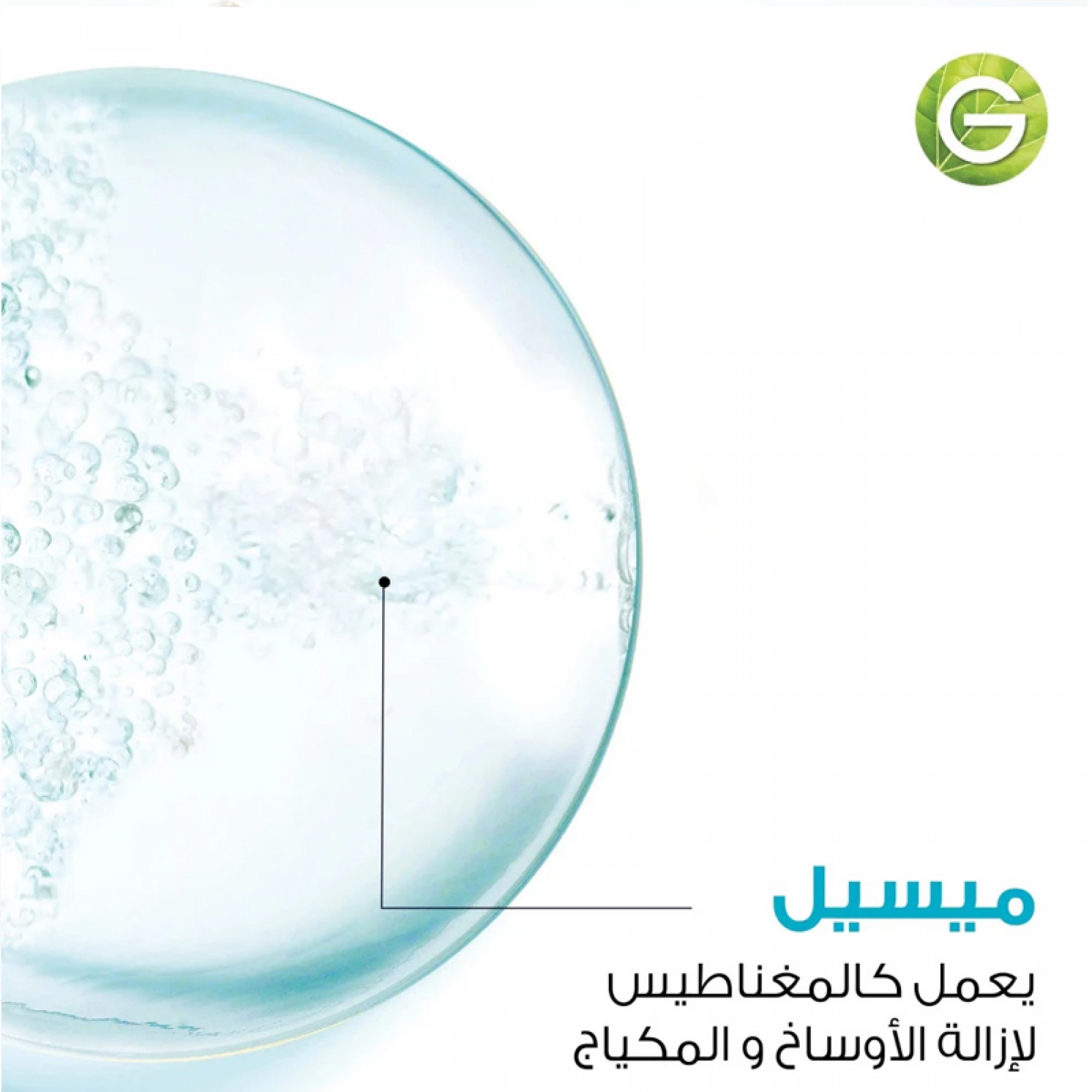 Garnier Skinactive Micellar Cleansing Water With Salicylic Acid, 400Ml