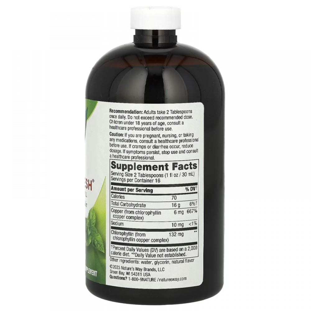 Nature's Way, Chlorofresh, Liquid Chlorophyll, Mint, 132 mg, 16 fl oz ...