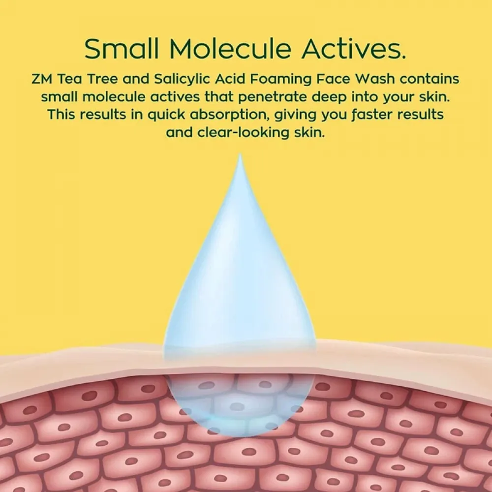 Zayn & Myza Foaming Wash with Salicylic Acid & Tea Tree Oil - 100 ml