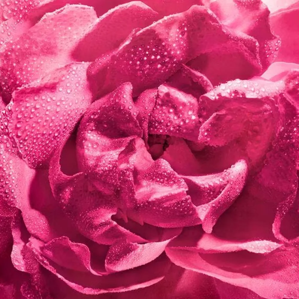 Guerlain La Petite Robe Noire Eau de Parfum Absolue 100ml