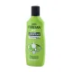 Foresan W.C. Concentrated Air Freshener Original - 125 ml