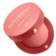 Little Round Pot Blusher 2.5 g 16 Rose Coup De Foudre