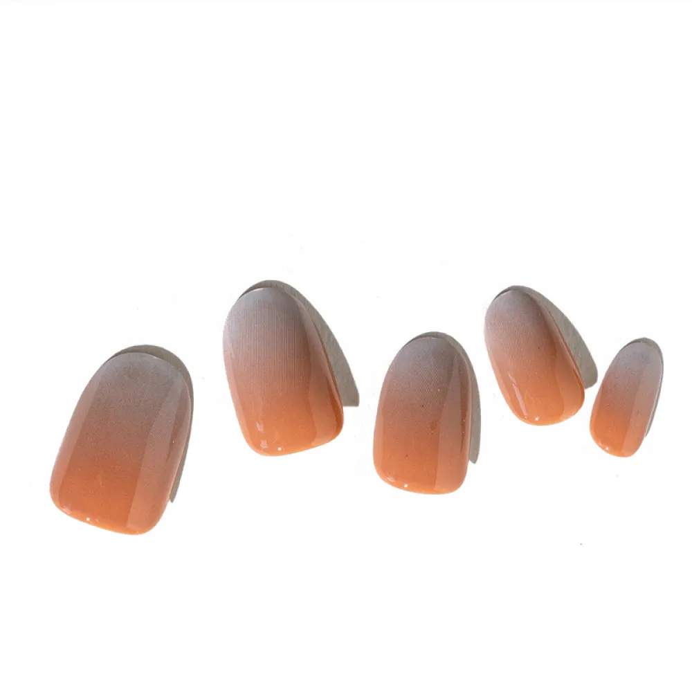 Loca Acrylic Nails A6-Oval Shape Ombre