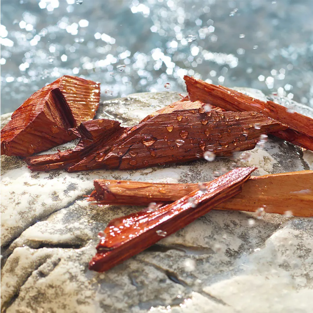 Dolce & Gabbana Light Blue Summer Vibes Pour Homme Eau de Toilette 75ml