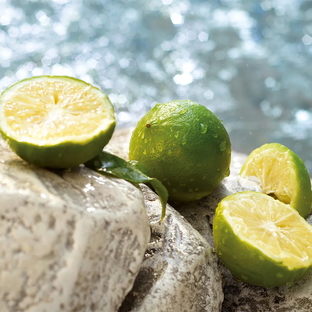 Dolce & Gabbana Light Blue Summer Vibes Eau de Toilette 100ml