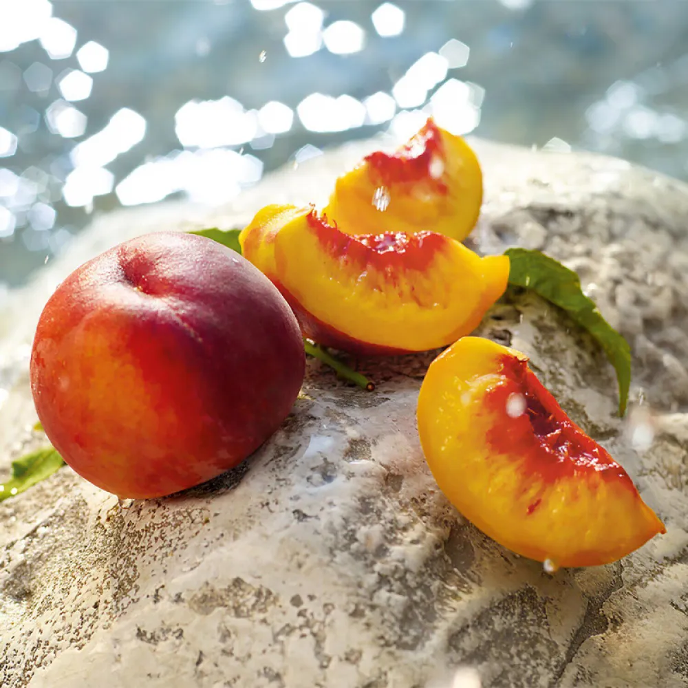 Dolce & Gabbana Light Blue Summer Vibes Eau de Toilette 100ml