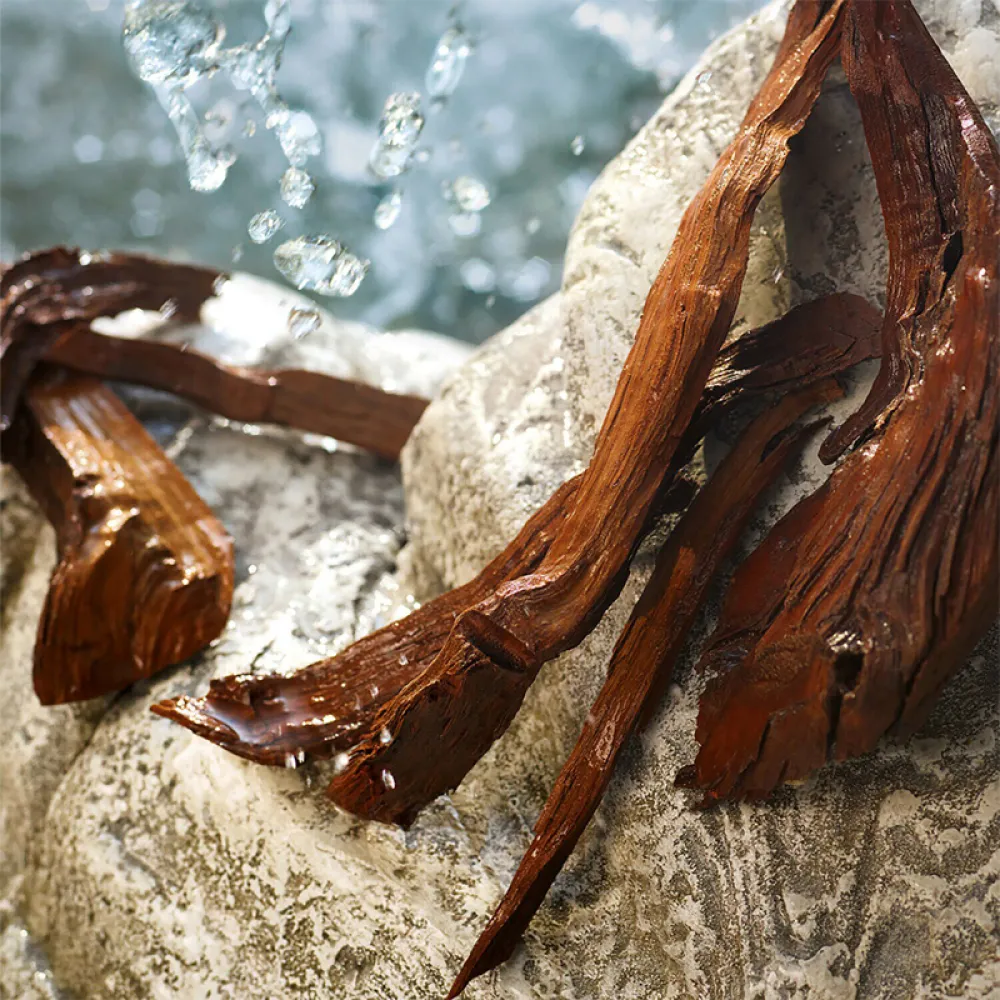 Dolce & Gabbana Light Blue Summer Vibes Eau de Toilette 100ml