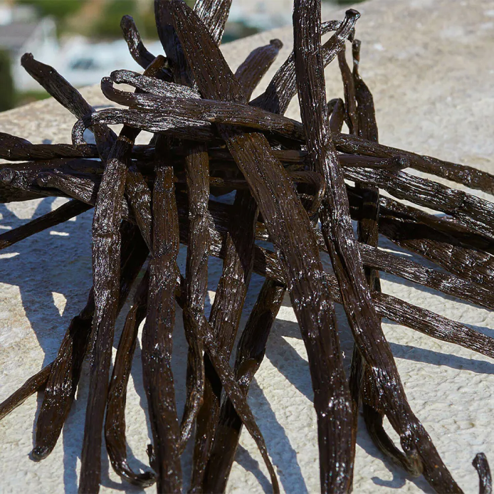 Dolce & Gabbana Devotion Eau de Parfum 100ml