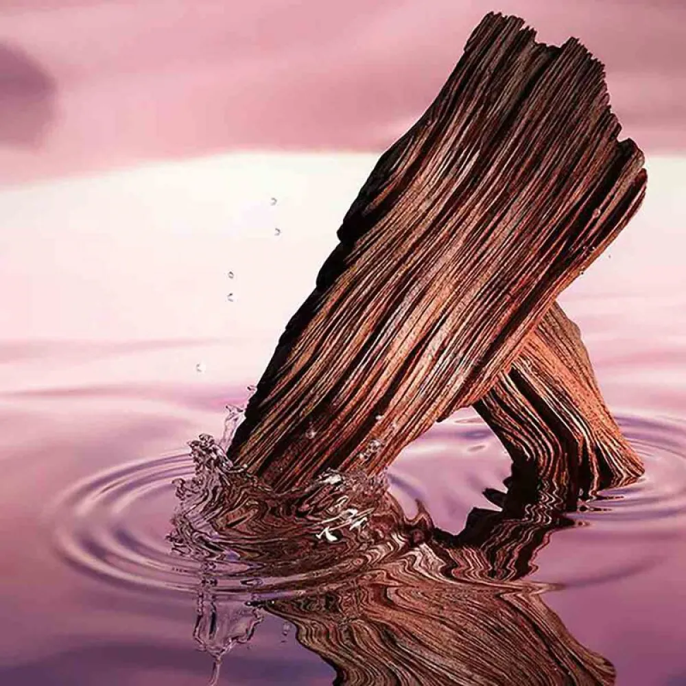 Estee Lauder Desert Eden Eau de Parfum 100ml