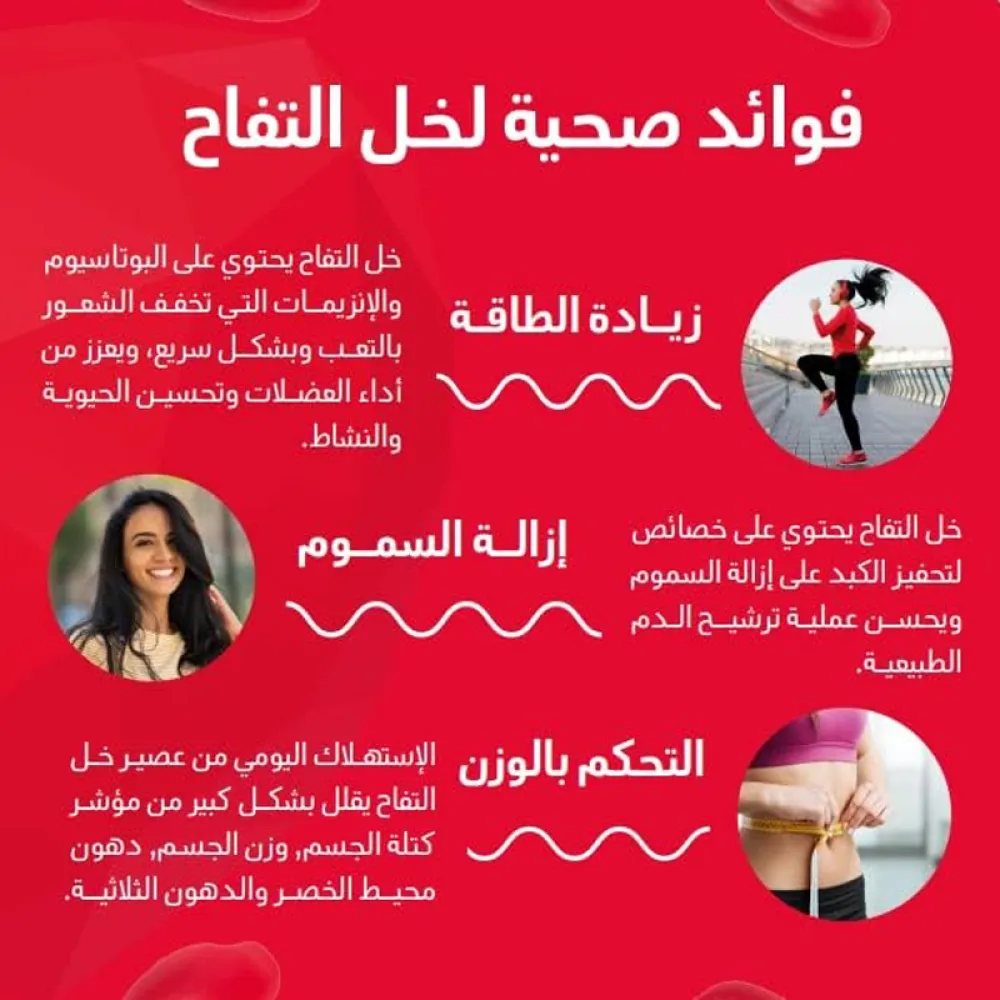 Holista Apple Cider Vinegar VitaLite Gummies - 90 Pieces