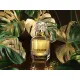 Roberto Cavalli Paradiso For Women - Eau de Parfum 75ml