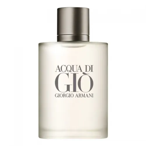 Giorgio Armani Acqua Di Gio For Men - Eau De Toilette 100ml