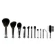 Coastal Sense Makeup Brush Set - 12 Pieces
