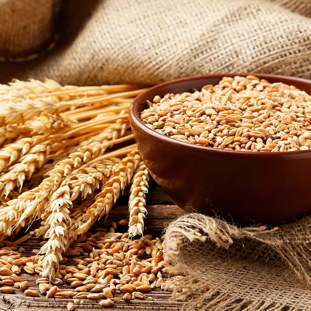 OGX, Shampoo, Thick & Full+ Biotin & Collagen, New Gentle & PH Balanced Formula, 385ml