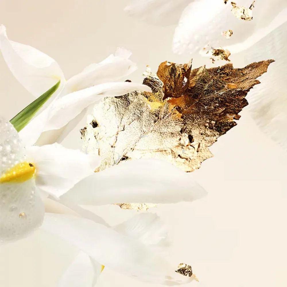 splendida-patchouli-tentation-with-sleeve-eau-de-parfum-100ml-100ml