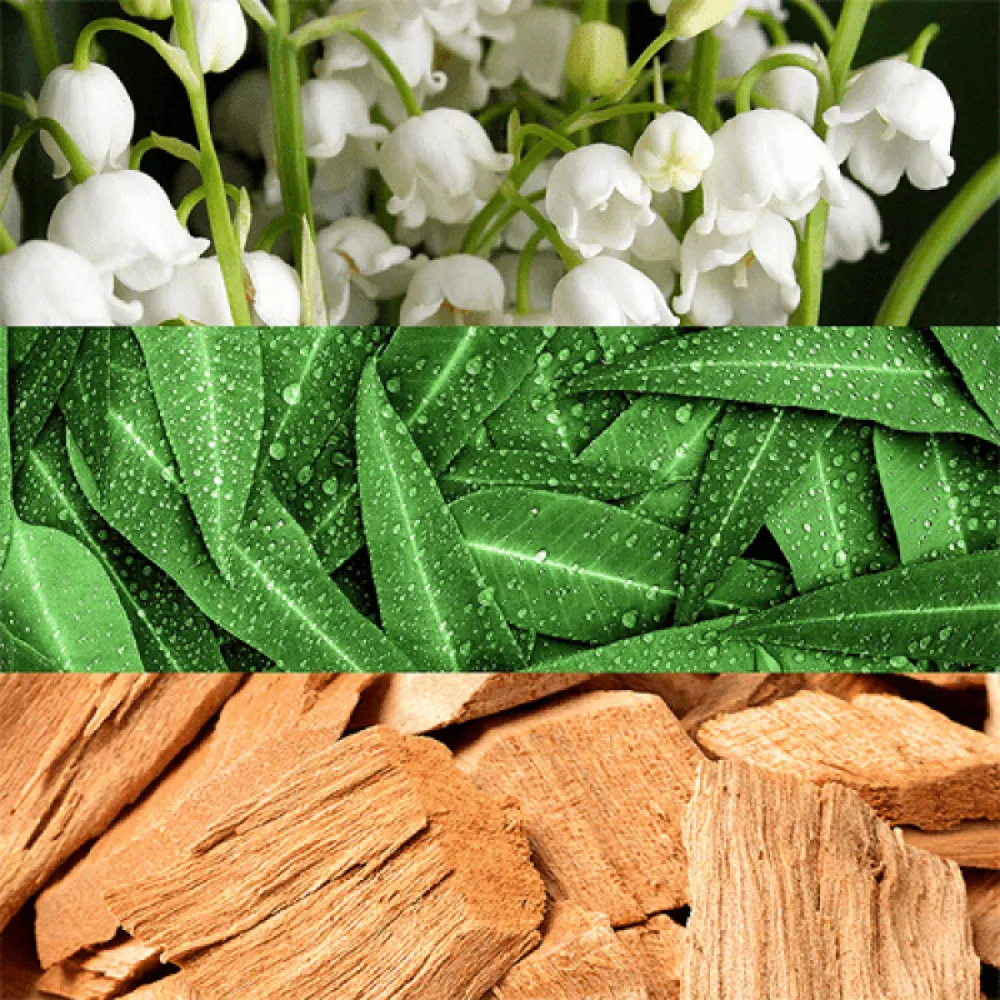 Calvin Klein Contradiction For Women -100ml - Eau De Parfum