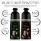 Dessar Shampoo Quick Hair Color Aloe Vera Natural Black 420ml