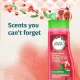 HERBAL ESSENCES - DAMAGE REPAIR SHAMPOO WITH POMEGRANATE, 400ML