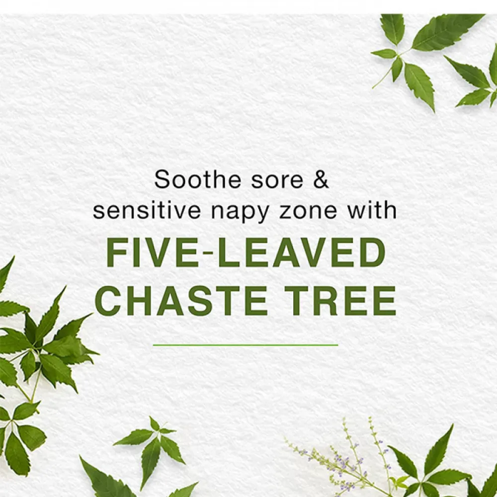 Himalaya Diaper Rash Cream 100ml