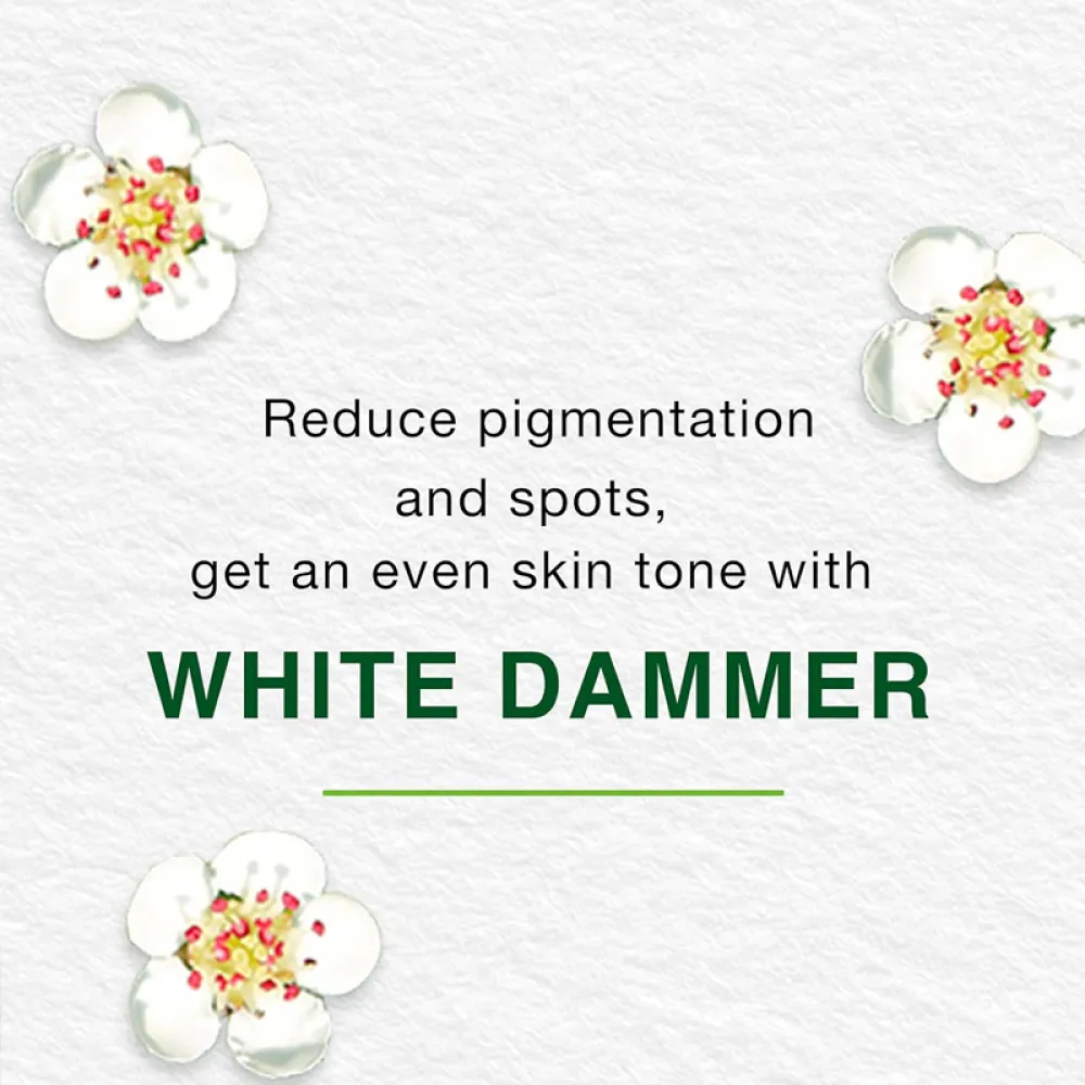 Himalaya Herbals Natural Glow Fairness Face Wash 100ml