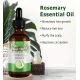 Natural Cibee Rosemary Oil for Hair Growth, Rosemary Essential Oil Nourishes Scalp, Strengthens Hair and Stimulates Hair Growth for Women and Men 60 mil
