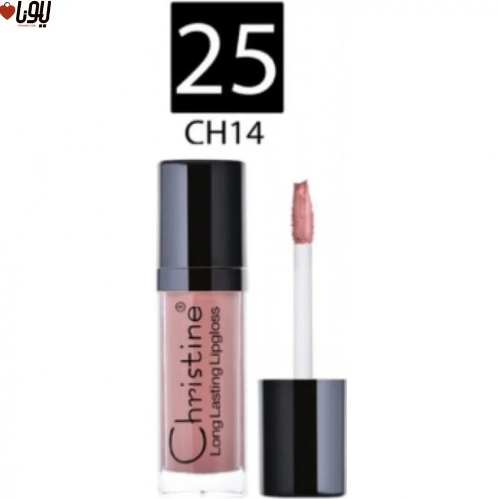 Christine W25 Matte Liquid Lipstick