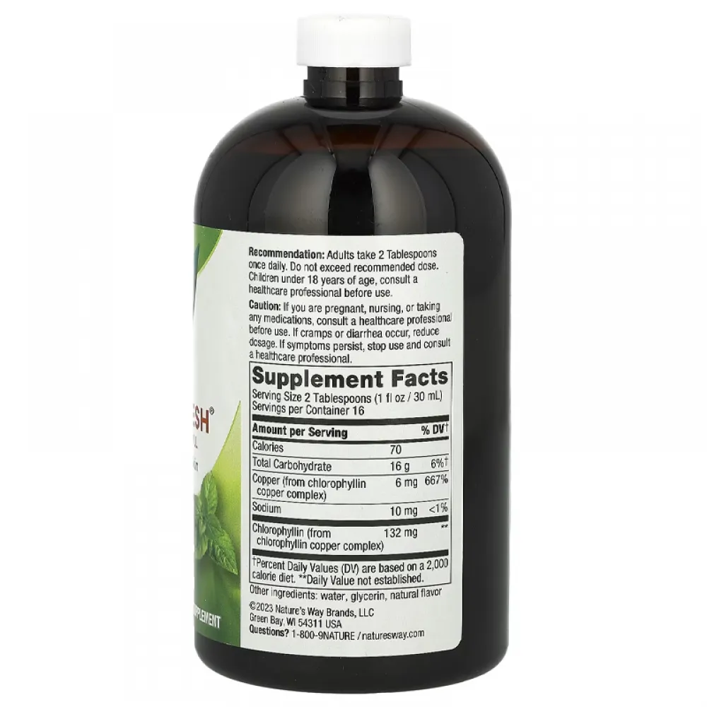 Nature's Way, Chlorofresh, Liquid Chlorophyll, Mint, 132 mg, 16 fl oz (480 ml) (132 mg per 2 Tbsp)