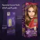 Wella Koleston Intense Hair Dye Medium Blonde 307/0