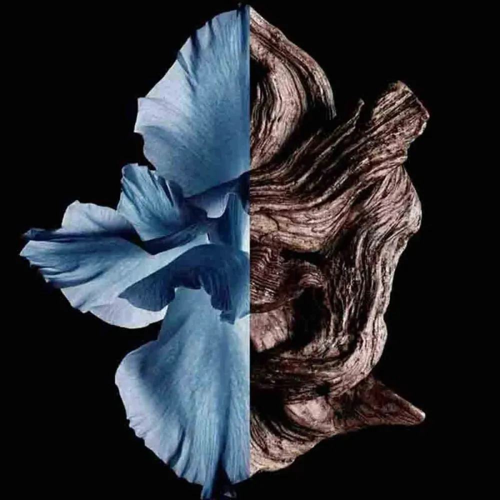 Givenchy Gentleman For Men - Eau de Toilette Intense 100mil