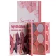 Christine 3 in 1 palette notebook eye shadow + highlighter + blush CH-K2308