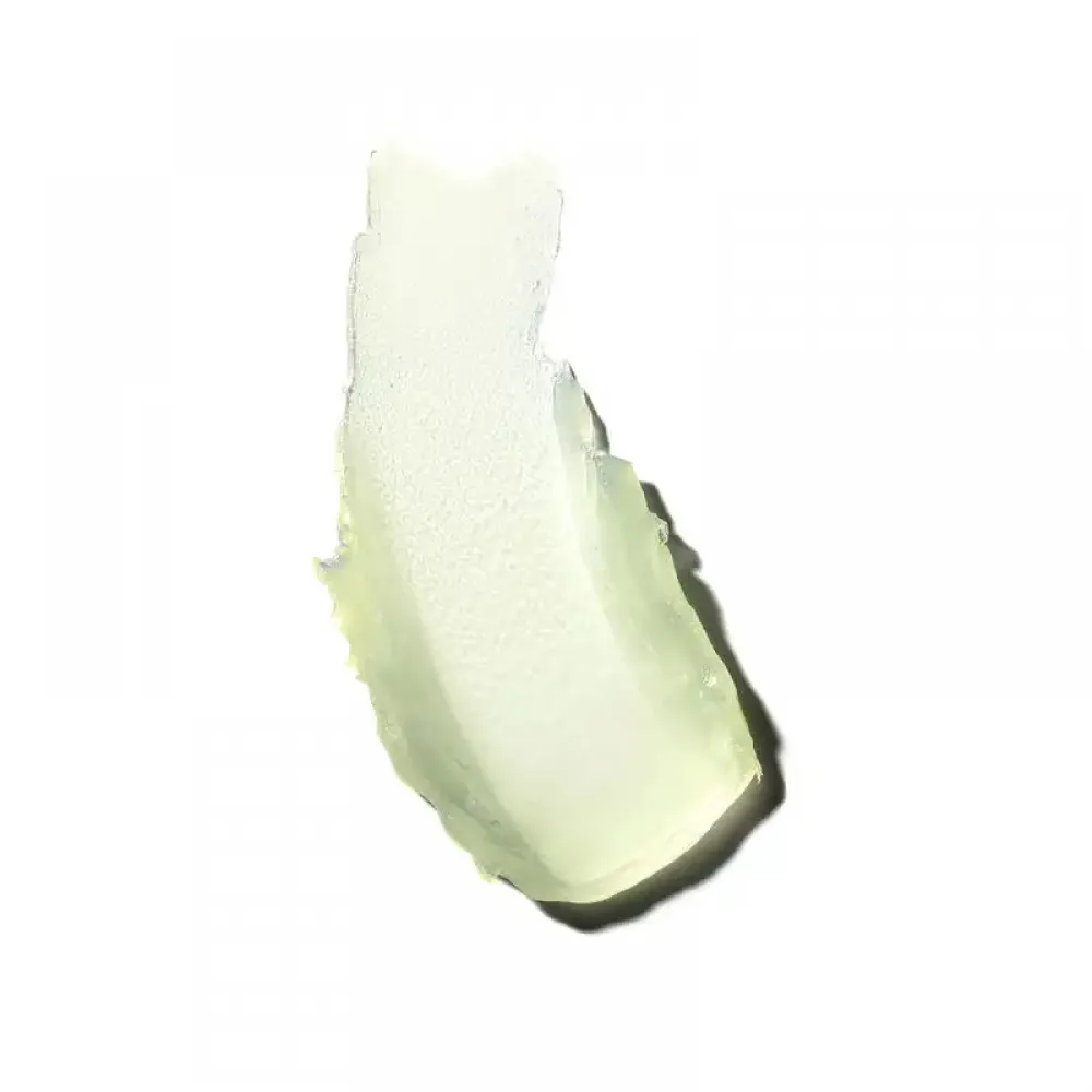 Shiseido Clear Stick Uv Protector 15 Gm