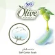 SOFY Olive Daily Panty Liner, Regular, Pack of 80 Panty Liners
