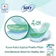 Sofy Anti-Bacterial, Slim, Large 29 Cm, Sanitary Pads With Wings, Pack Of 28 Pads