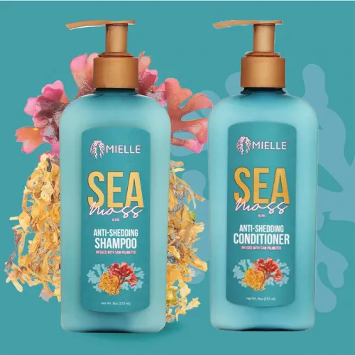 Mielle Organics Sea Moss Anti-Shedding Shampoo and Conditioner Set